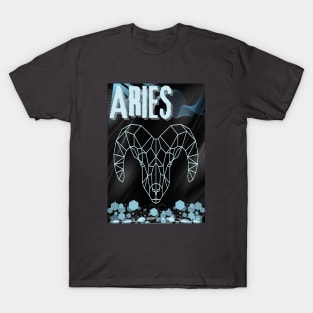 ARIES T-Shirt